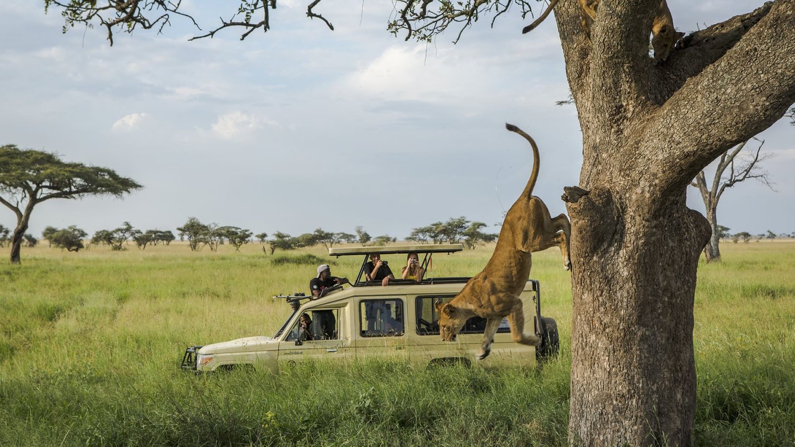 serengetinationalpark